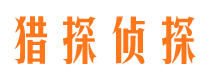 津市侦探